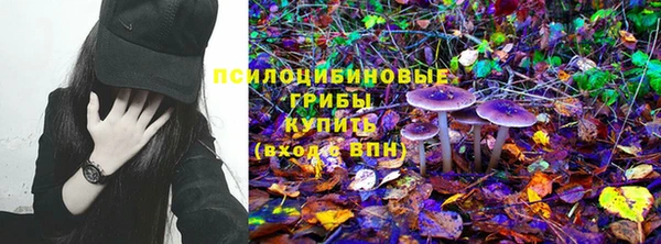 гашиш Болотное