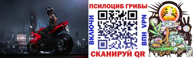 где можно купить наркотик  Родники  мориарти официальный сайт  Галлюциногенные грибы мицелий 