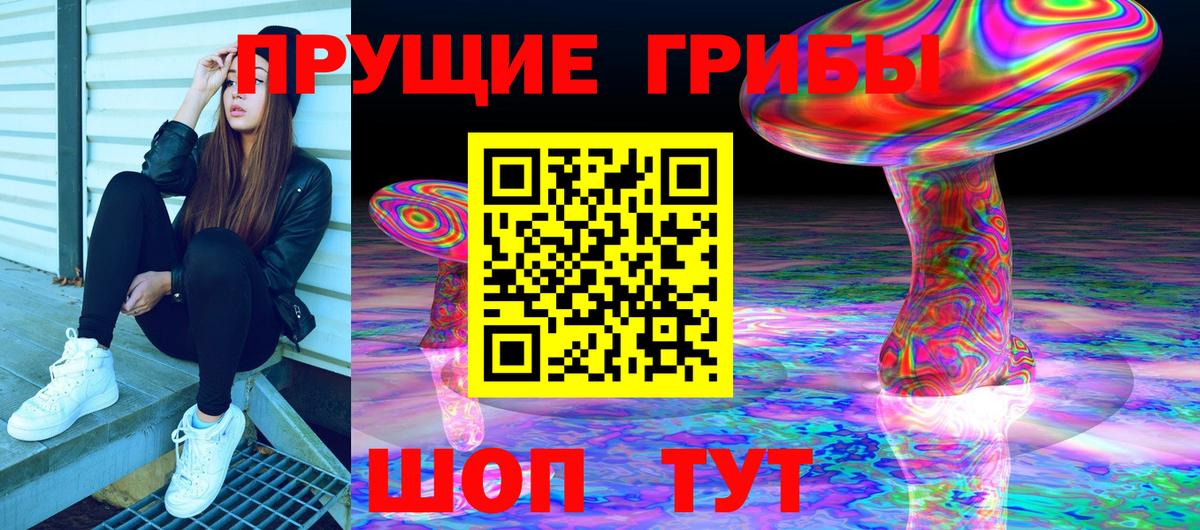 Галлюциногенные грибы Psilocybe Родники