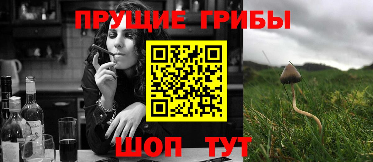 Псилоцибиновые грибы MAGIC MUSHROOMS Родники