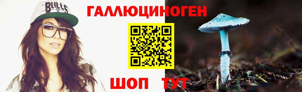 Псилоцибиновые грибы Psilocybe  Вход с VPN  где продают наркотики  Родники 
